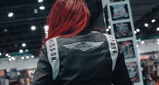 Harley-Davidson-Helmet